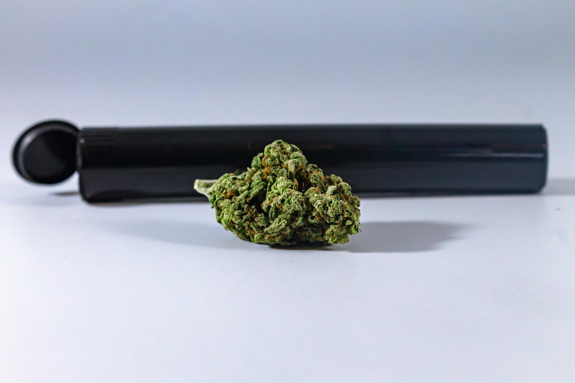 Seniors Are Skipping The Doctor And Going To The Weed Dispensary - StudyFinds