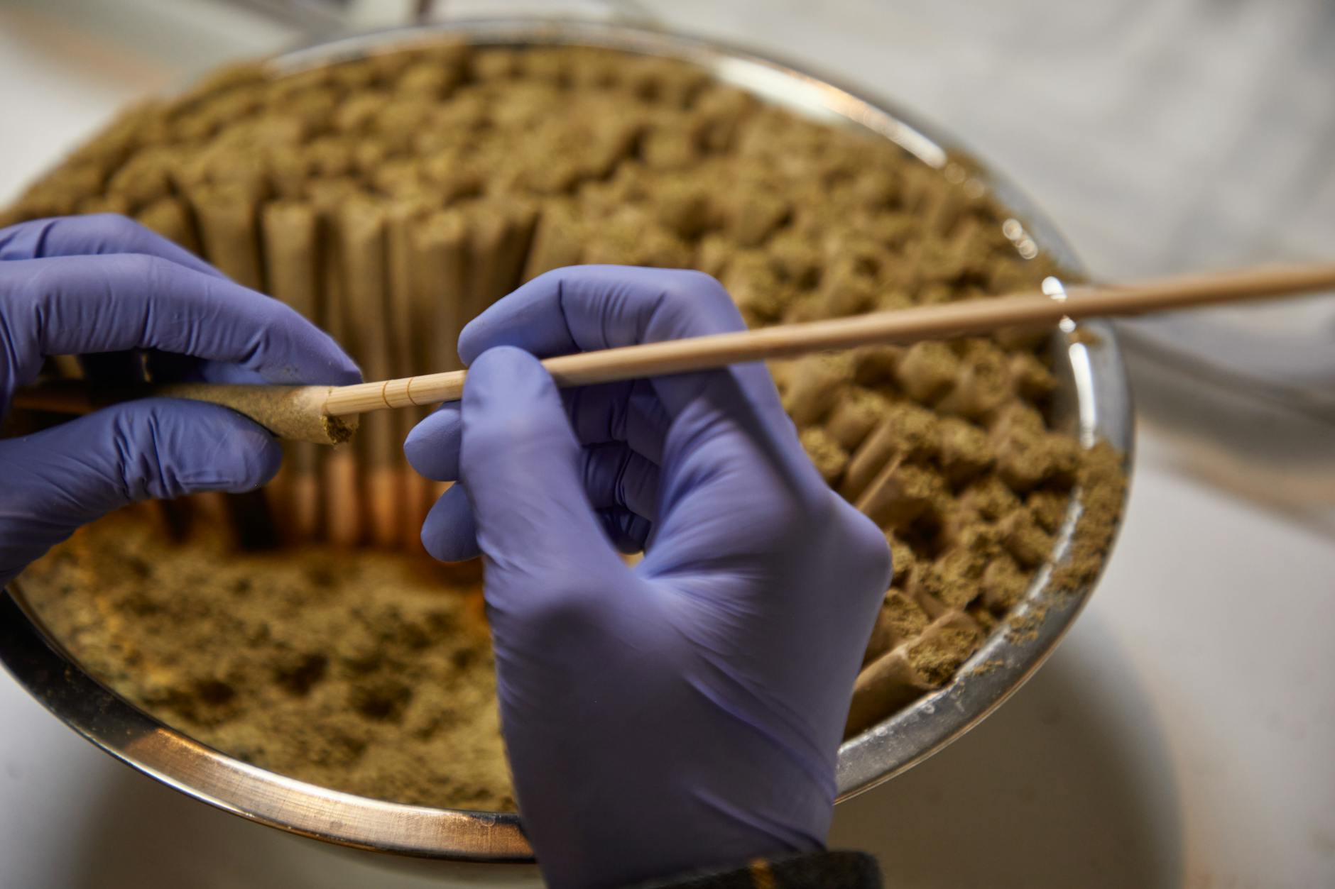 Curaleaf Laboratories becomes first UK manufacturer of medical cannabis suppositories