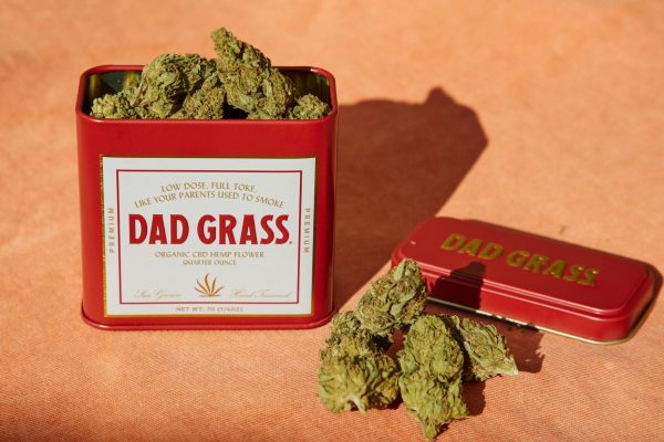 Marijuana Can Play A Role In Combating Obesity, Contrary To Stereotypes About Lazy …