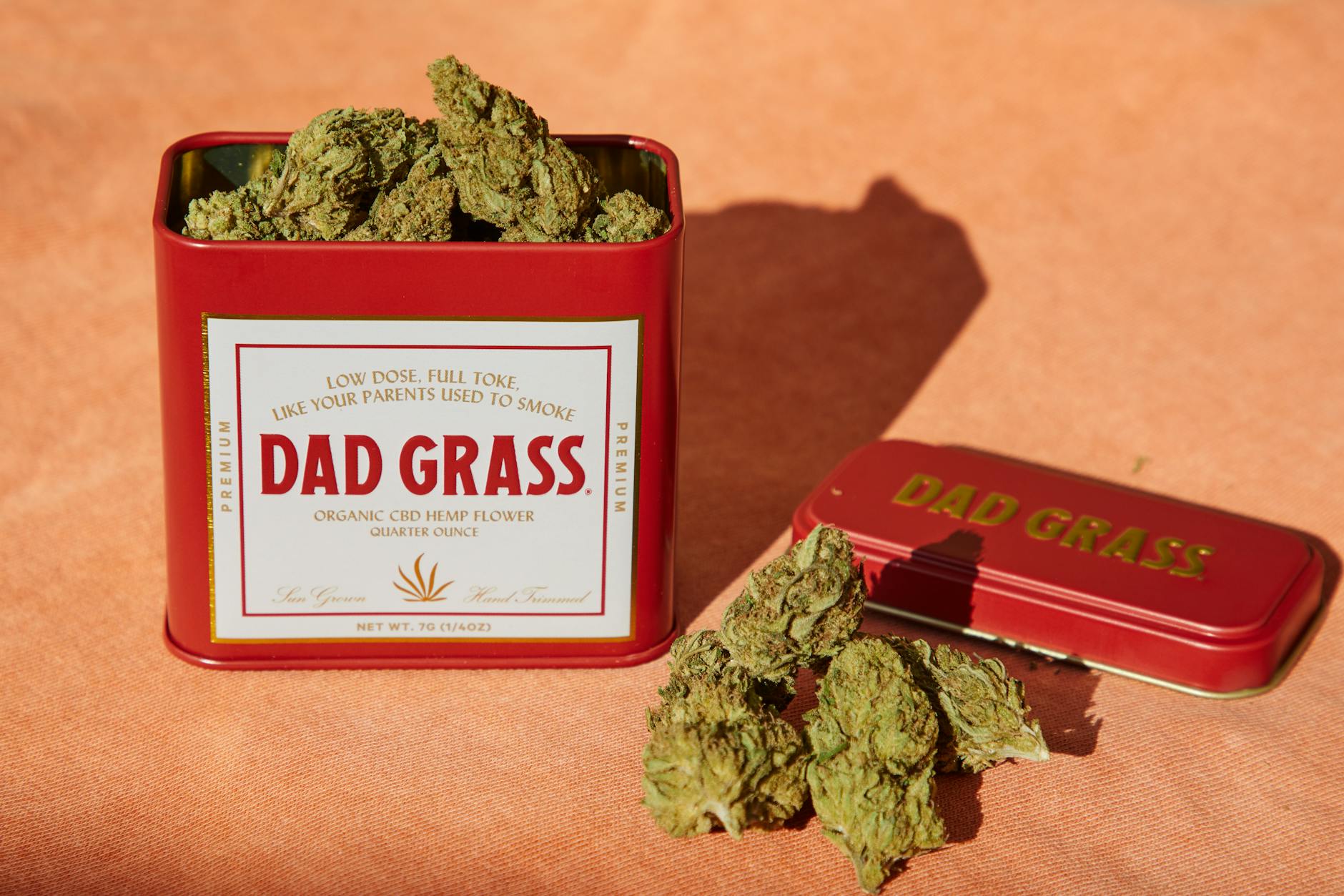 Marijuana Can Play A Role In Combating Obesity, Contrary To Stereotypes About Lazy ...