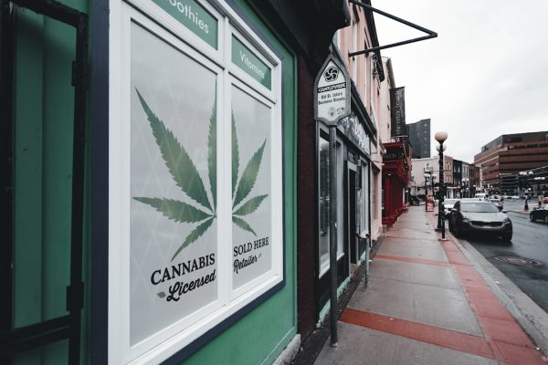 The DEA’s New Cannabis Registration System May Matter More Than Legalization Headlines
