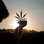 What's the latest with cannabis and schizophrenia? - Medical News Bulletin