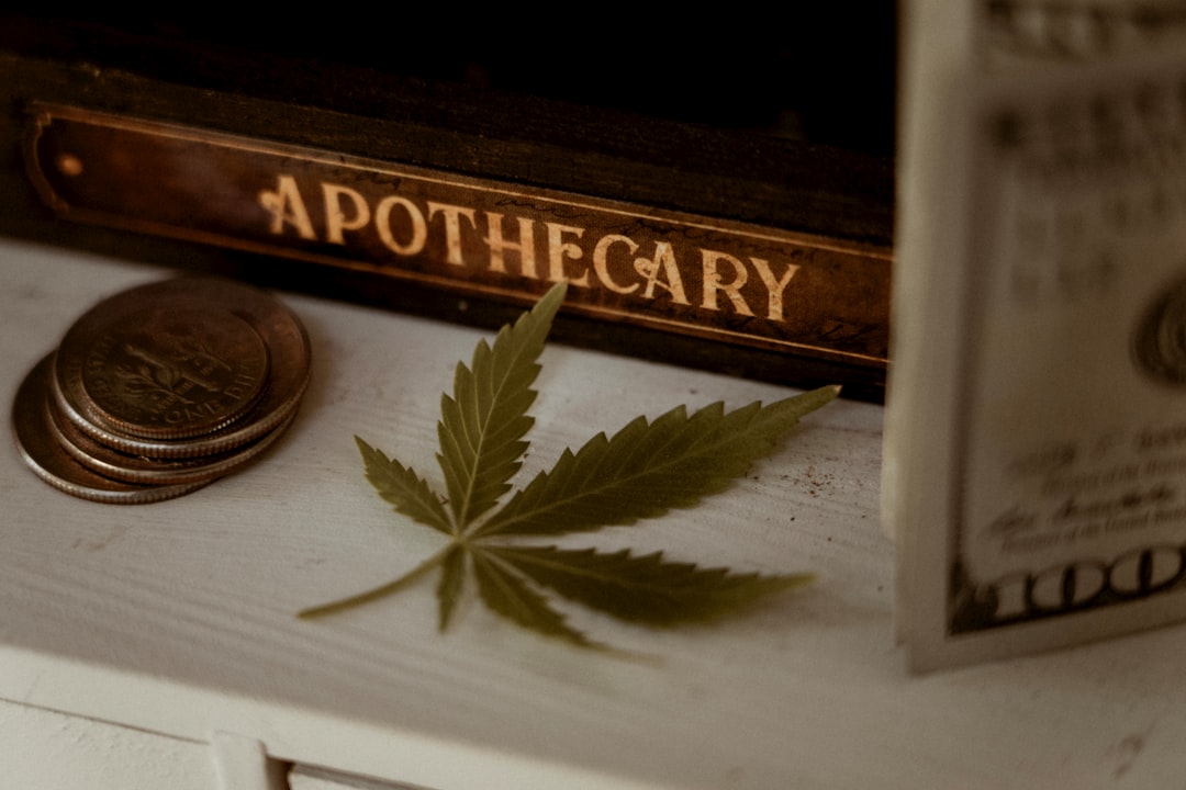 ced unsplash aIkbq3krSZ0