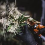 ced unsplash gwEUS0vCih4