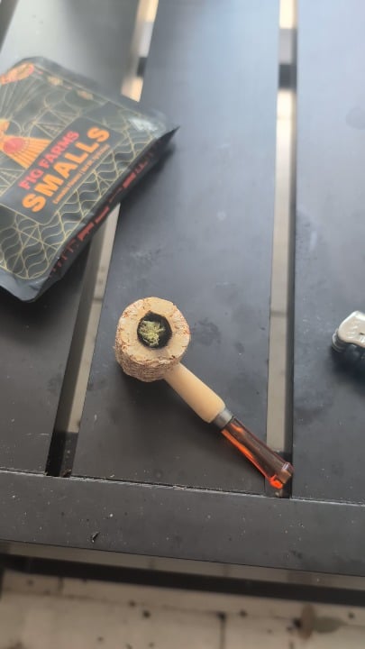 Had a visitor crash my smoke session and yell at me
