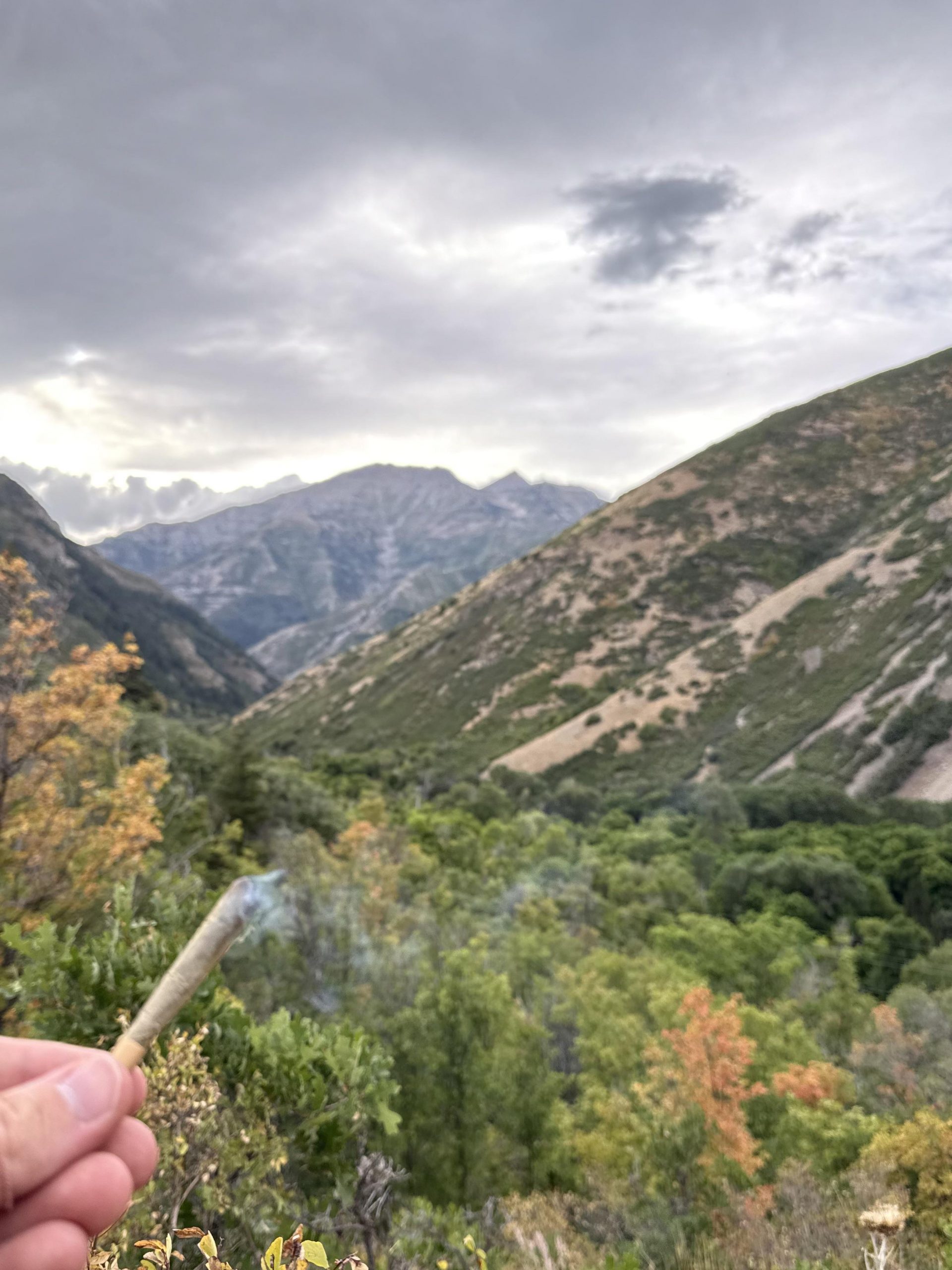 I just graduated from BYU, one of the most religious colleges in the U.S.