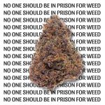 It's nuts that there are still people in prison for dealing weed back in the 80s and 90s