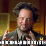 Ancient Aliens