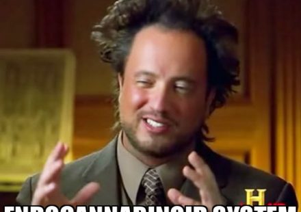 Ancient Aliens