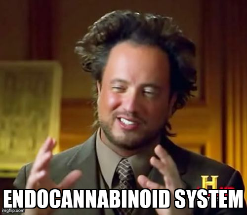 Ancient Aliens