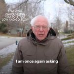 Bernie Sanders mittens
