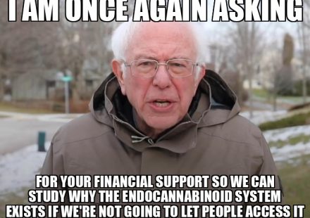 Bernie Sanders Once Again Asking