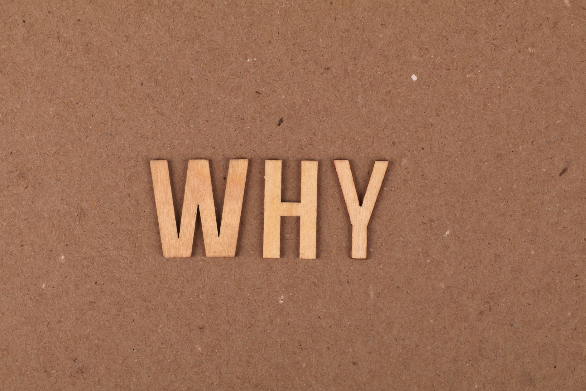 Why Anandamide Rules Balance #substack #shorts