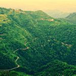 Himachal Pradesh Cabinet Approves Regulated Cannabis Cultivation to Boost Farmer Income