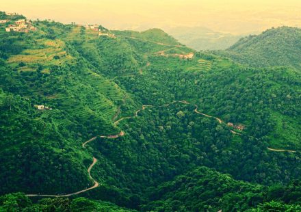Himachal Pradesh Cabinet Approves Regulated Cannabis Cultivation to Boost Farmer Income