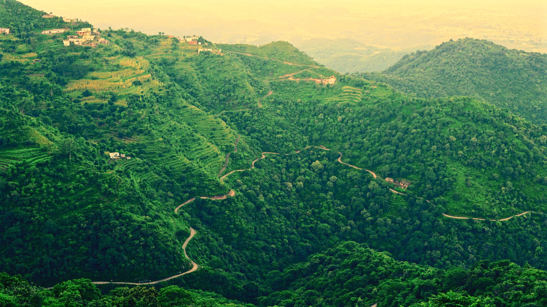 Himachal Pradesh Cabinet Approves Regulated Cannabis Cultivation to Boost Farmer Income