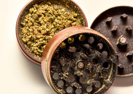 Speakeasy Dispensary opens in Bowling Green, providing medical-grade cannabis to the community