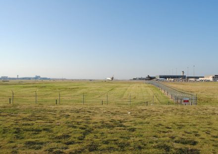 Cannabis worth €500,000 seized at Shannon Airport - The Echo