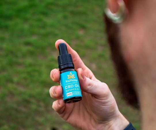 CBD may calm the brain’s runaway immune response behind Alzheimer’s – MSN