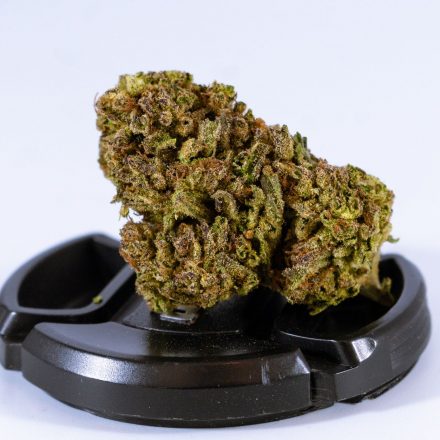 Cannabis loyalty isn't built on high-potency THC – it's built on trust