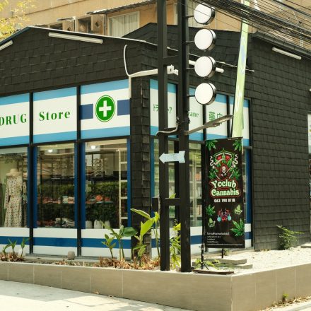 Center of Excellence for Cannabis Care opens in Albany - NEWS10 ABC