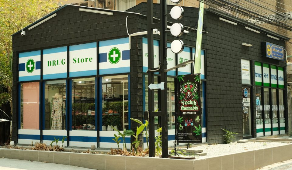 Center of Excellence for Cannabis Care opens in Albany - NEWS10 ABC