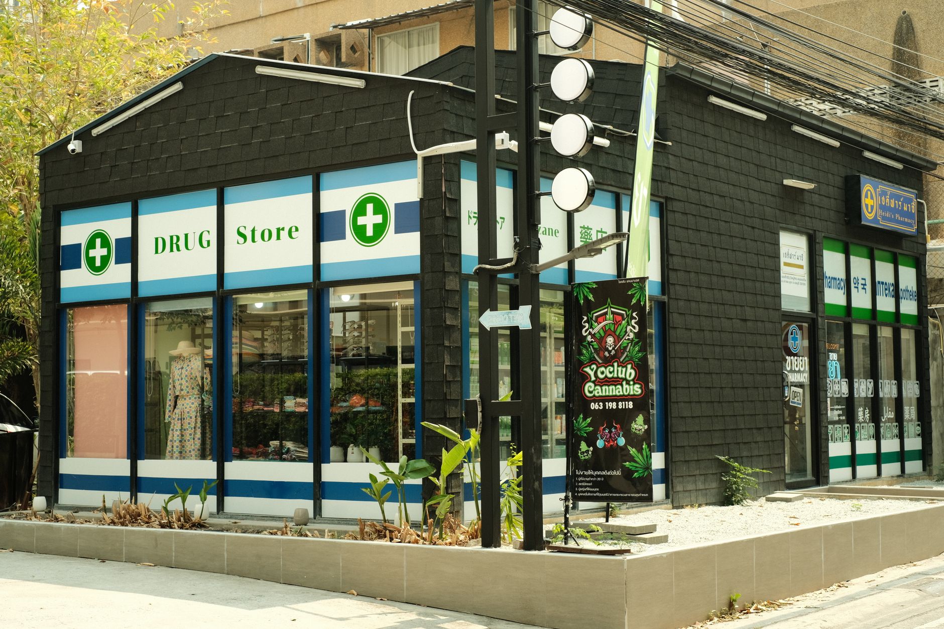 Center of Excellence for Cannabis Care opens in Albany – NEWS10 ABC