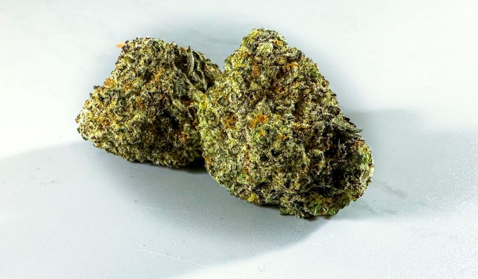 New Research Unveils Health Benefits of Medical Cannabis - NUG Magazine