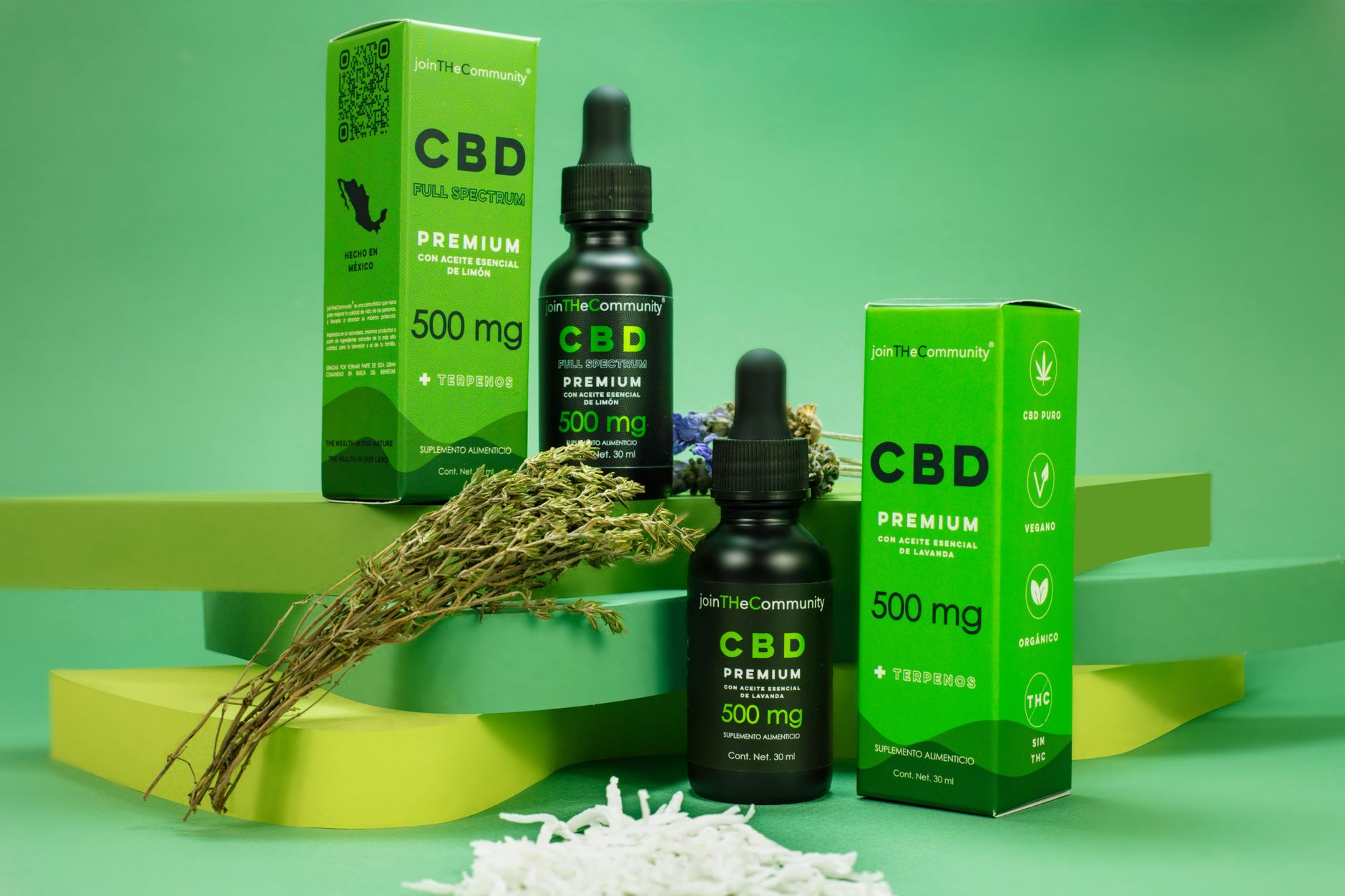 Cannabidiol Limits Early Aβ-Induced Glial Activation and Preserves Synaptic Integrity in …