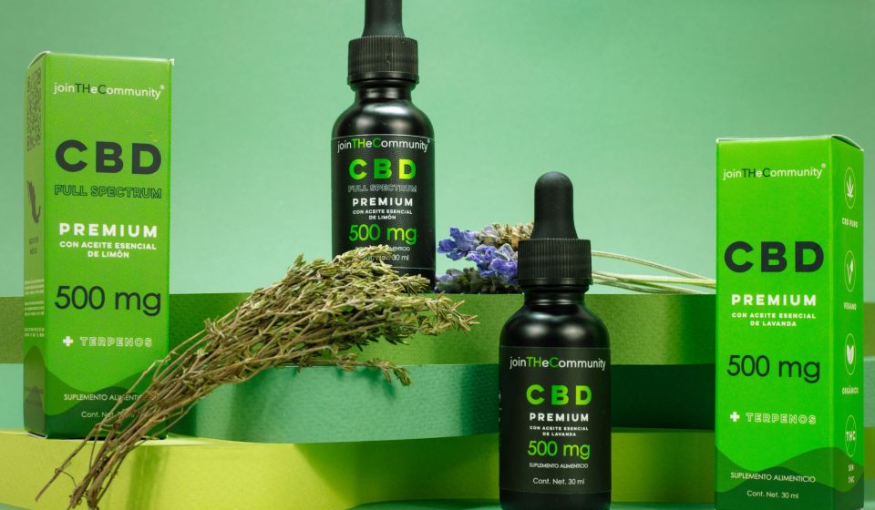 Full-Spectrum Cannabis Oil With CBD and THC Prevents Early Liver Damage in Diet ...