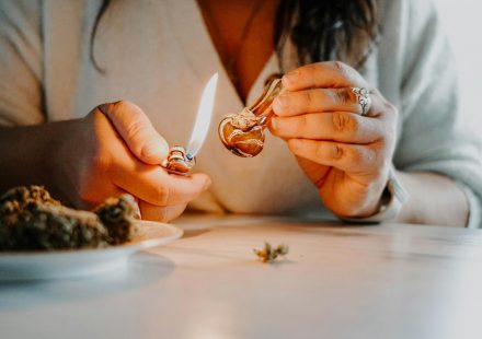 Cannabis compounds reduce alcohol consumption in rats, study shows - leafie