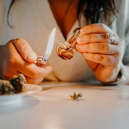 Cannabis compounds reduce alcohol consumption in rats, study shows - leafie