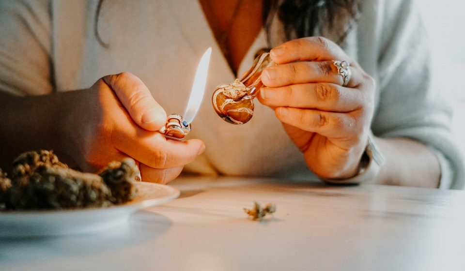 Cannabis compounds reduce alcohol consumption in rats, study shows - leafie