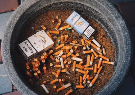 High-potency cannabis linked to mental health risks, expert warns