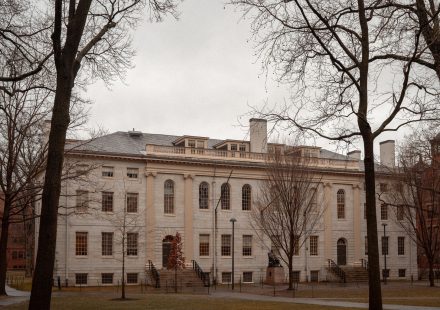 Harvard Neuroscientist Warns Federal Court: Marijuana Rescheduling May Carry ...