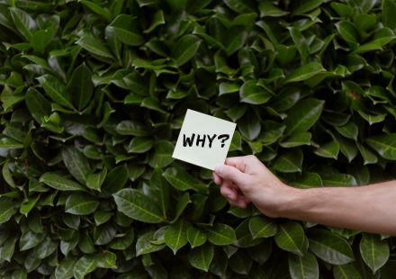 Why Every State Needs a Cannabis Ombudsman