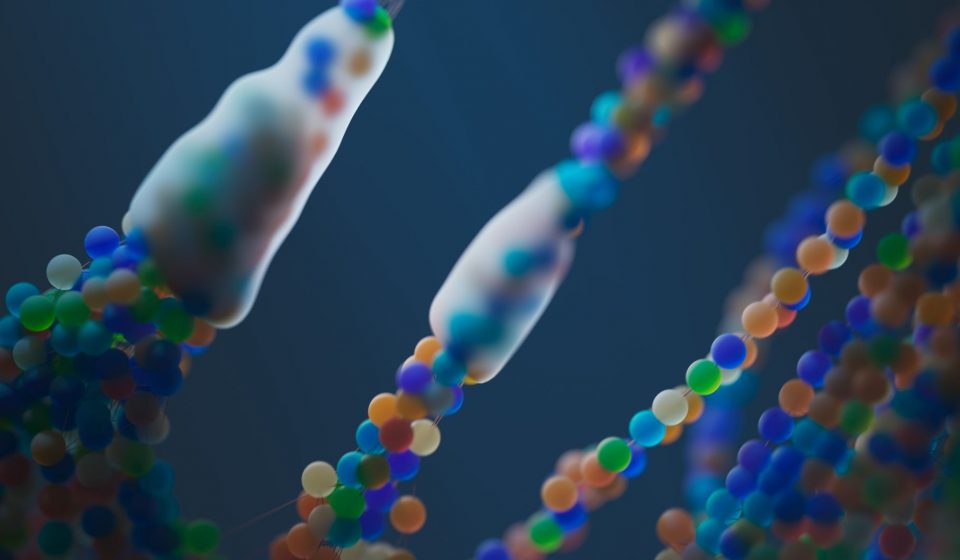EndoDNA Launches BIOS, Turning Genetic Data Into Living Clinical Intelligence for ...