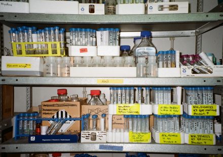 NIST Expands Mass Spectrometry Library to Improve Chemical Identification - Lab Manager