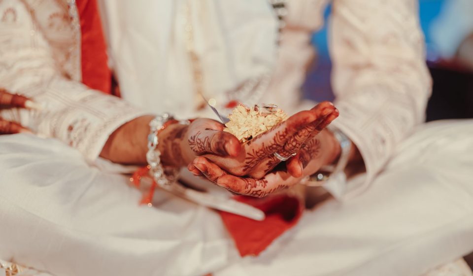 Anandamide & Ceremonial Cacao: The Bliss Molecule — OOTW Explainer