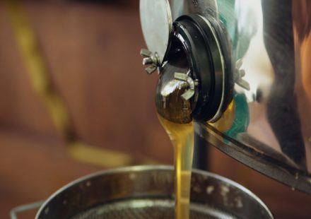 Understanding Modern Cannabis Extraction Methods and Product Quality