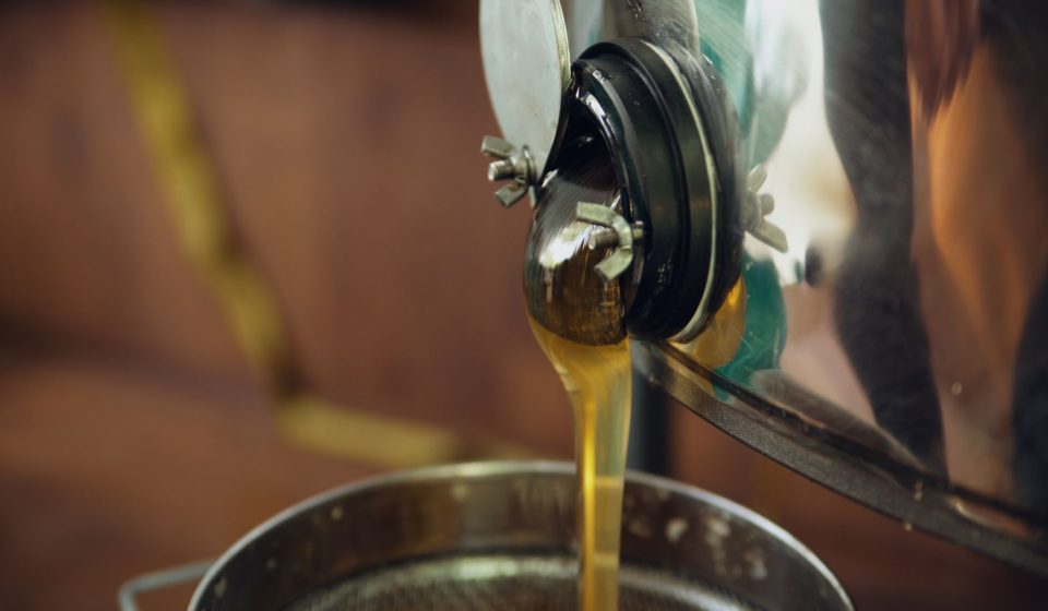 Understanding Modern Cannabis Extraction Methods and Product Quality