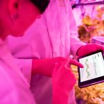 What sets research-led cannabis developers apart?