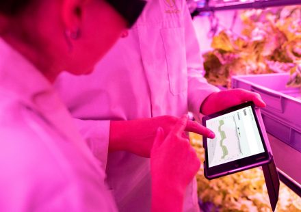 What sets research-led cannabis developers apart?