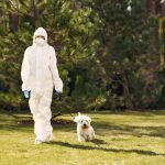 Summer pet toxins: Awareness, prevention, and safety