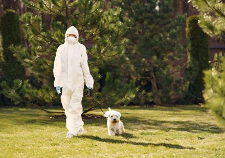 Summer pet toxins: Awareness, prevention, and safety