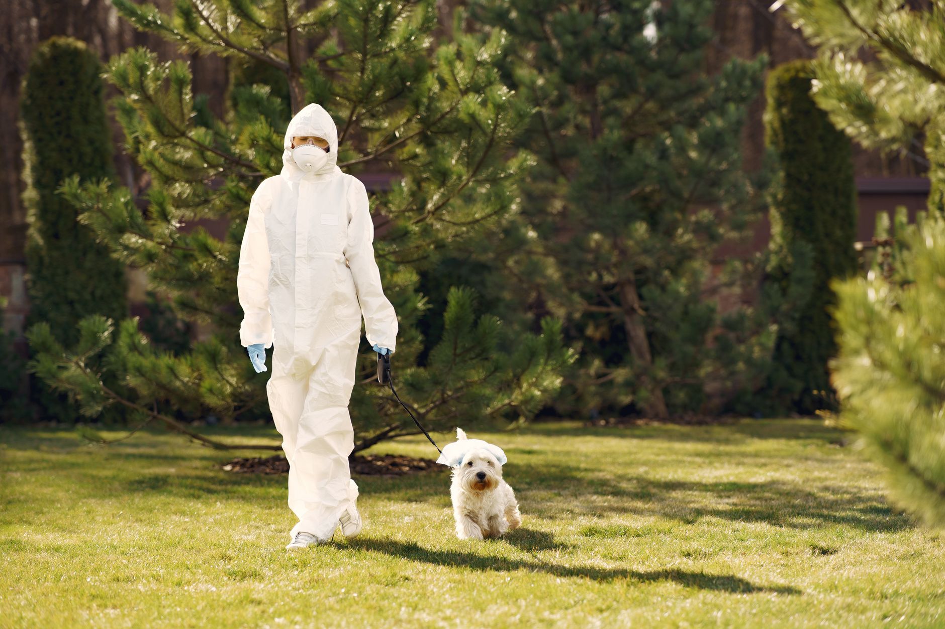 Summer pet toxins: Awareness, prevention, and safety
