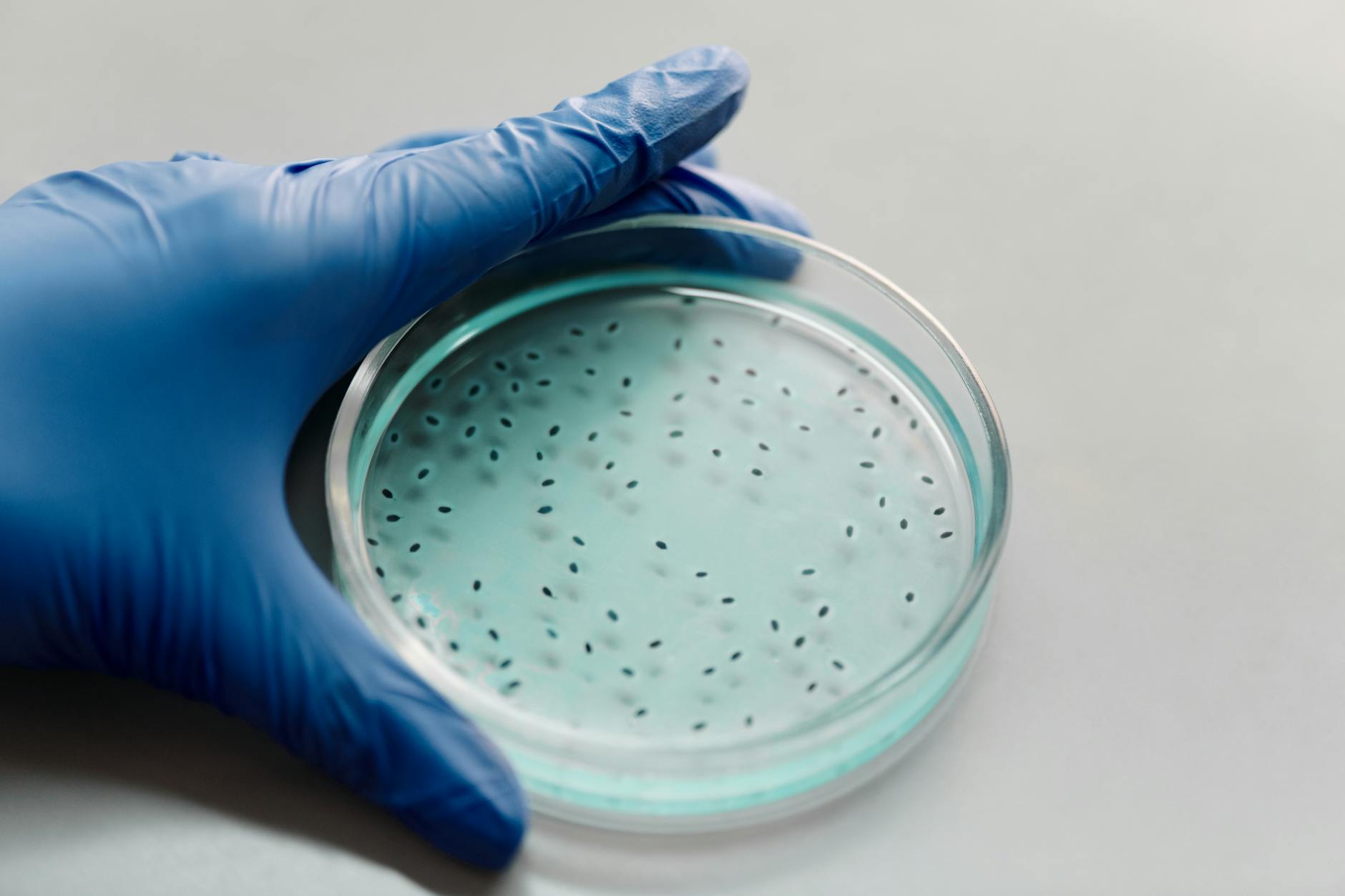 Research suggests cannabis use may impact sperm count, motility, morphology, and overall ...