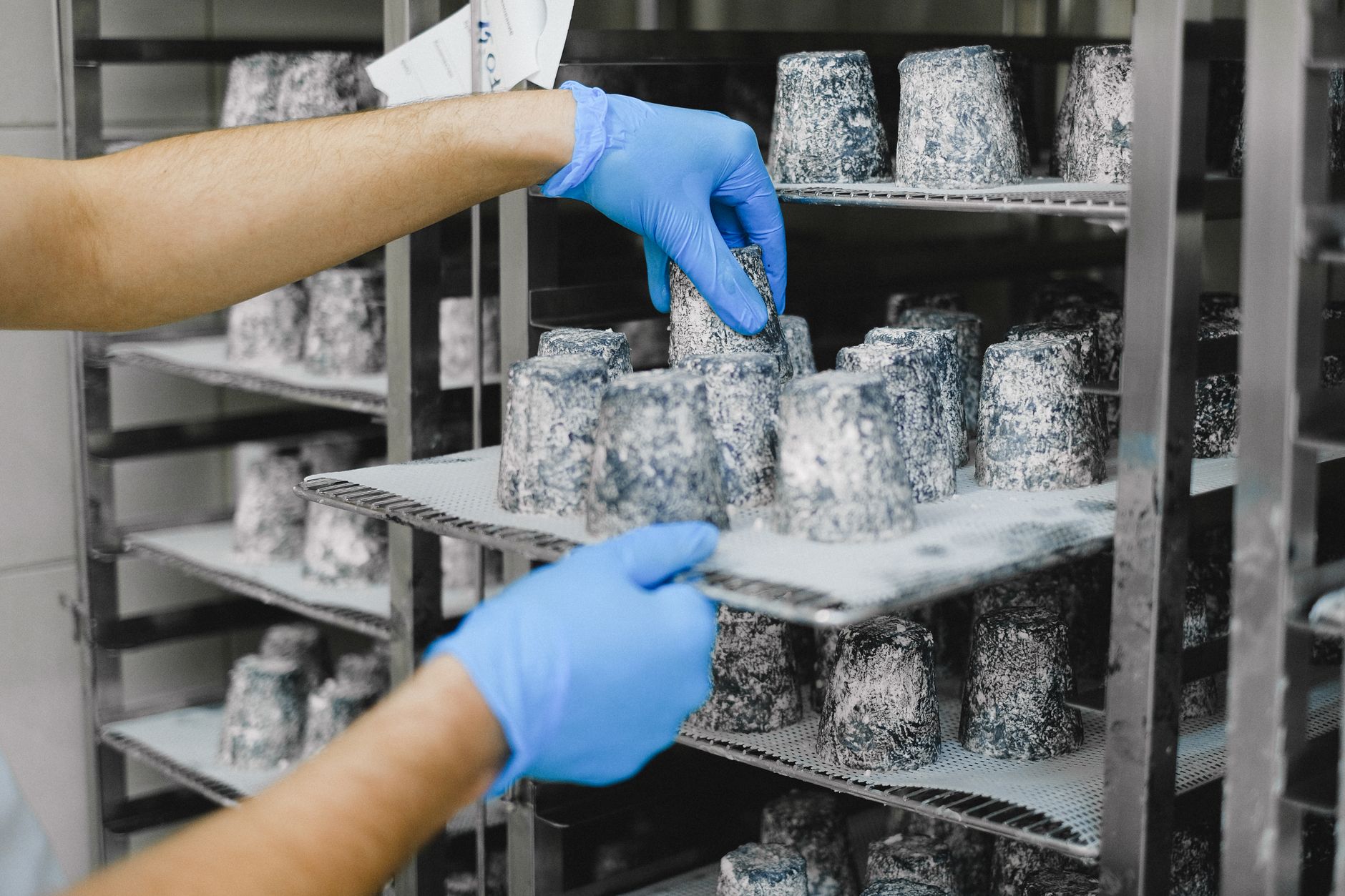Maine recalls cannabis over unsafe mold and yeast levels