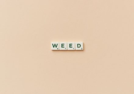 Week in Weed - June 13, 2026 - StratCann