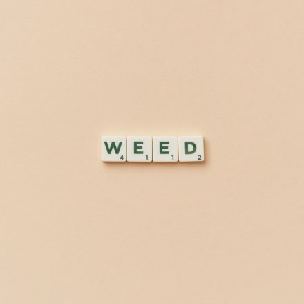 Week in Weed - June 13, 2026 - StratCann